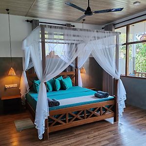 The Jungle View